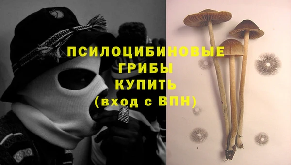 не бодяженный Армянск