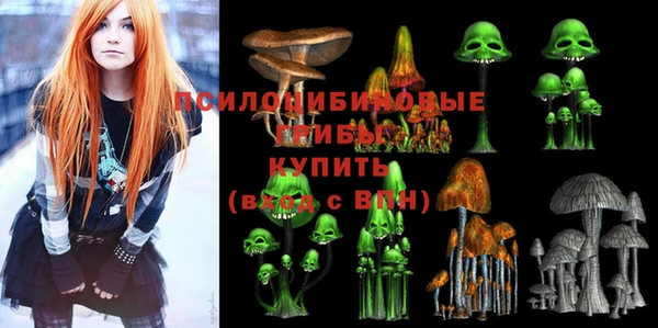 крисы Аркадак