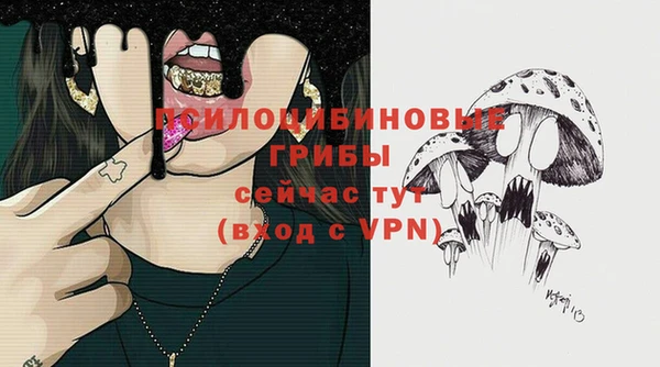 не бодяженный Армянск