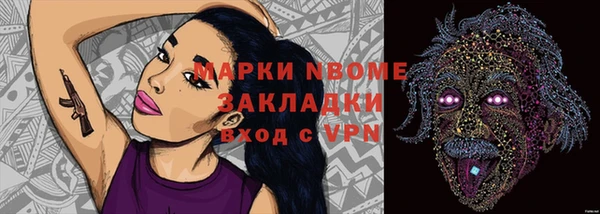 крисы Аркадак