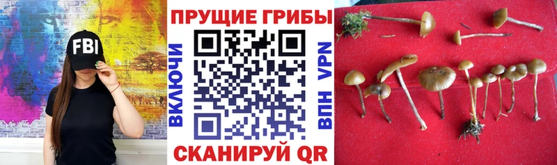 наркошоп  Добрянка  Псилоцибиновые грибы ЛСД 