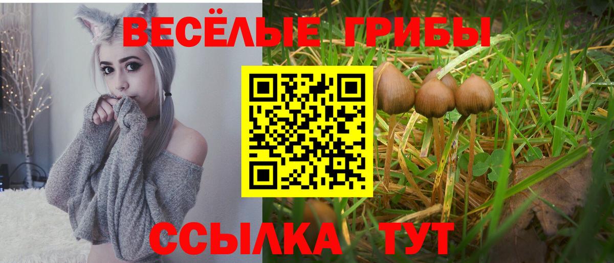 Галлюциногенные грибы мухоморы  Вход с VPN  Добрянка 